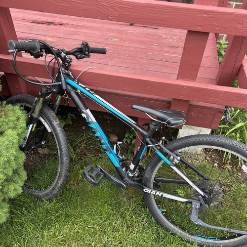 Giant atx mountain - giant,