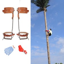 Tree climbing spike - tree,