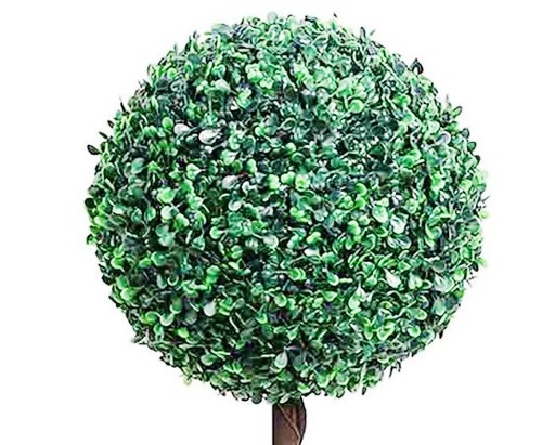 Solar bay trees - trees, of