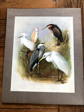 1900s large cromolithograph of