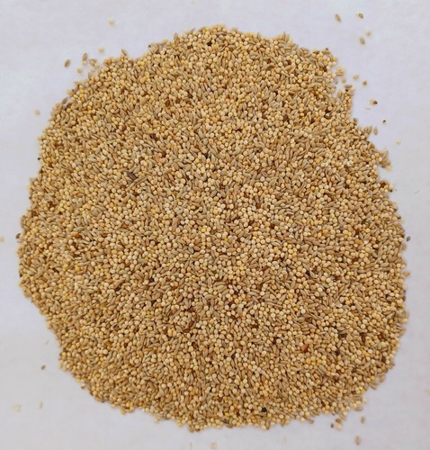 Budgie special mix 20kg - mix,