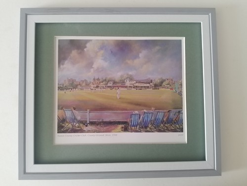 Cricket print sussex county - cricket,