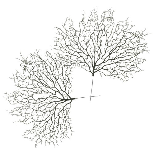 Reusable decorative coral - reusable,