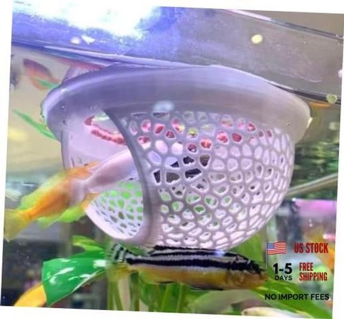 2pcs floating betta fish - 2pcs,