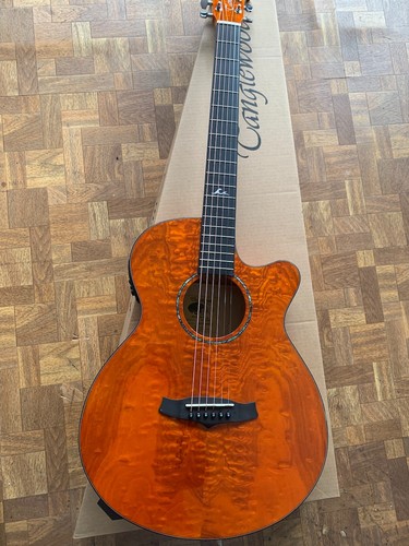 Tanglewood electro acoustic - tanglewood,
