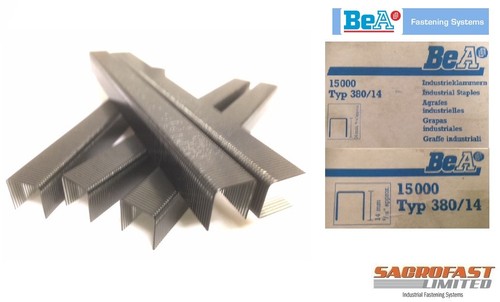 Type staples 14mm - 80,