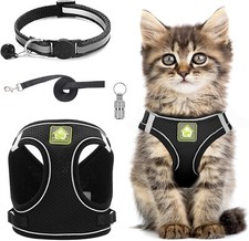 Cat Harness and Lead
