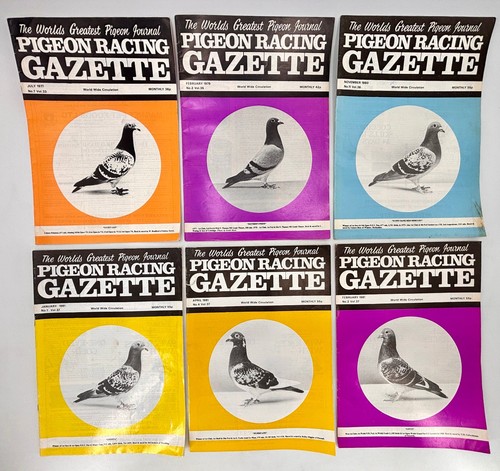 Pigeon racing gazette magazine - racing,