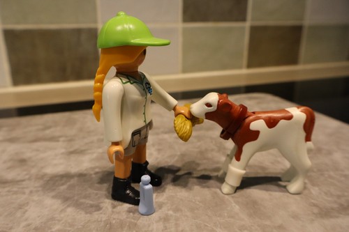 Playmobil 70252 vet - playmobil, with