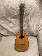 bowl back mandolin, Solid Top, With Case