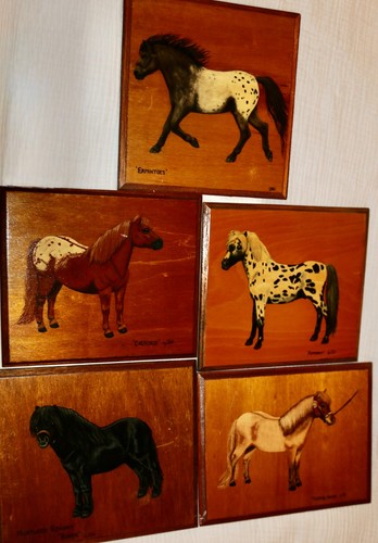 Set five handmade horse - five,