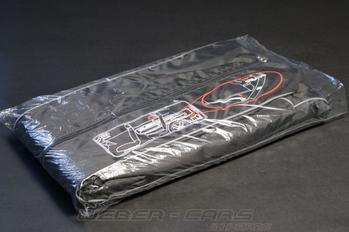 Audi ski case - ski, rear