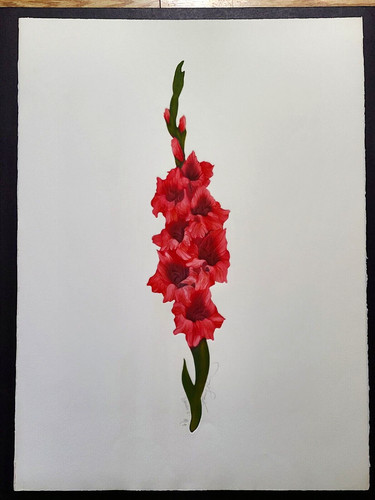 Original nancy elizabeth nevin - original,