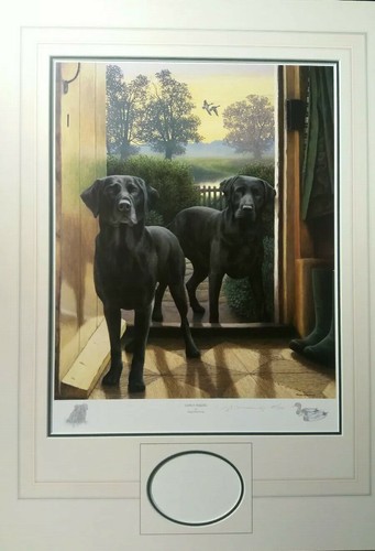Nigel hemming limited edition