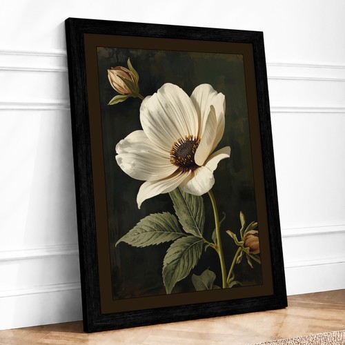 White bloom study botanical - white,