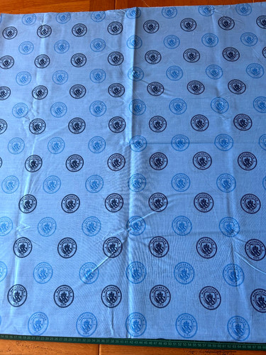 Man city crest football club - city,