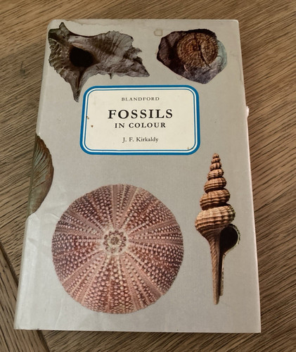 Fossils colour f - by, j.