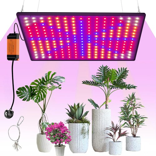 1000w led grow lights for - 1000w,