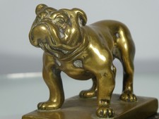Antique 1930s Bulldog Polished