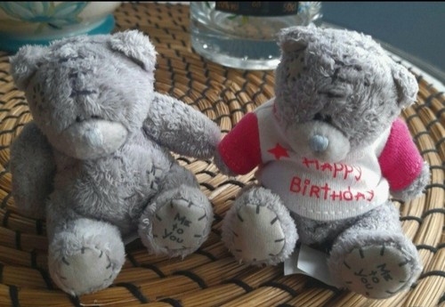 Tiny you bears x - tiny,