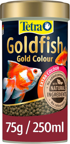Tetra goldfish gold colour - tetra,