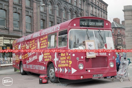 Bus photo pmt - bus,