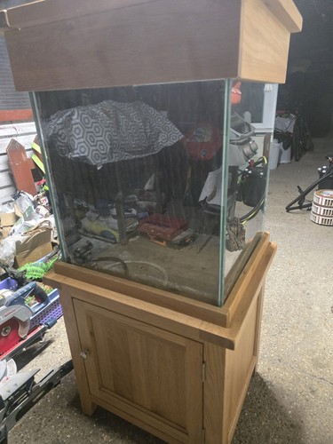 Aqua oak tank cube - oak,