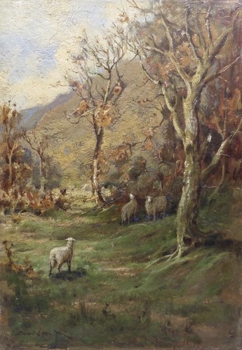 David hewitt 1878 - david,
