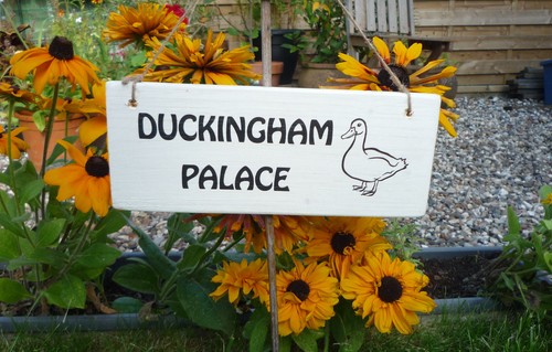 Cluckingham duckingham palace - cluckingham,