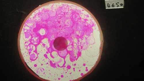 Bubble vision oil wheel with - oil,