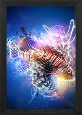 Glowing lion fish Framed Wall