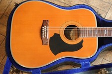 Super Rare 80's Eko El Dorado 12 String Acoustic Guitar 1984 + Luthier Setup