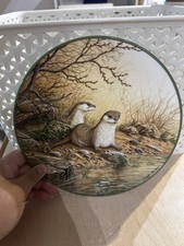 Otter Pair on a River Bank