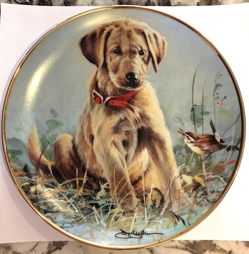 Franklin mint eye - franklin, eye"