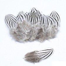 Natural Feathers Pheasant