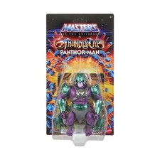 Masters of the Universe