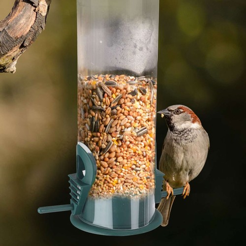 Hanging wild bird seed feeder - bird,