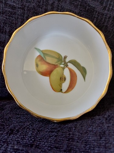Royal worcester evesham - worcester, gold