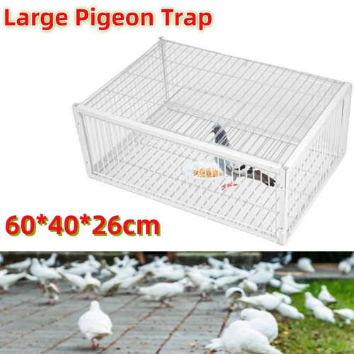 Pigeon cage feral - feral,