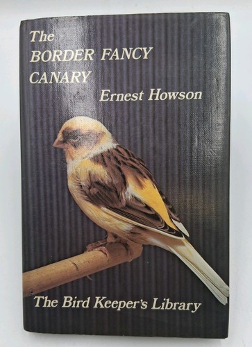The border fancy canary - the,
