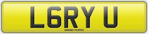 Ryu larry private - ryu,