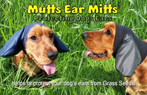 Dogs ear protectors protection - dogs, protectors/protection