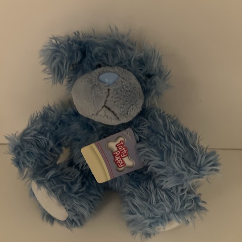 Too small tatty puppy - tatty,