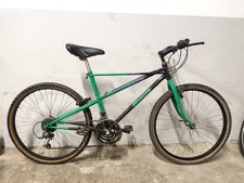 vintage White Spider Thomisius