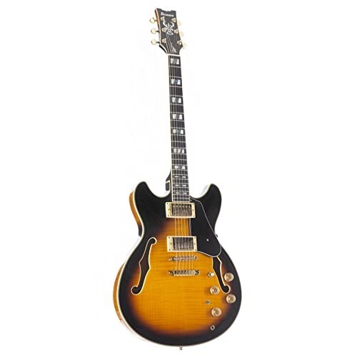 Ibanez john scofield - ibanez/john, signature