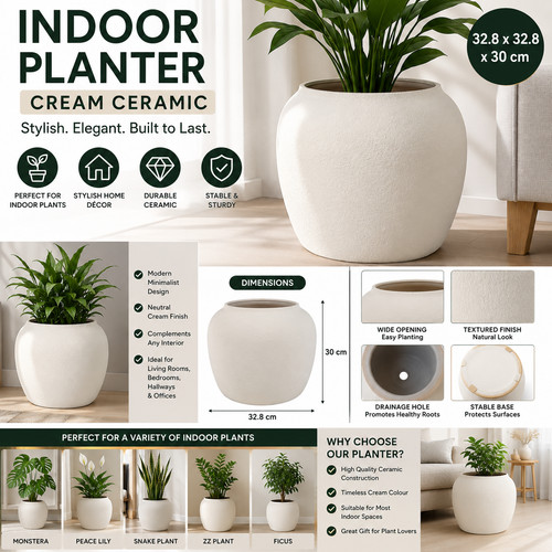 Decorative cream ceramic plant - decorative,