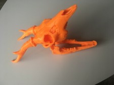 Roe Deer Skull Model Moving