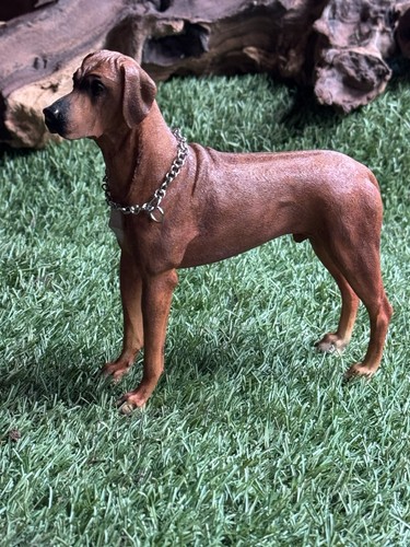Rhodesian ridgeback dog best - rhodesian,