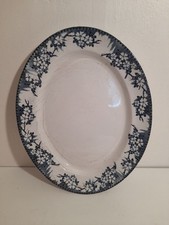 Britannia Pottery Co Serving Plate Wild Rose Large Oval Vintage Antique