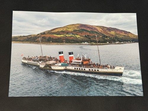 12x8 print paddle - print, steamer